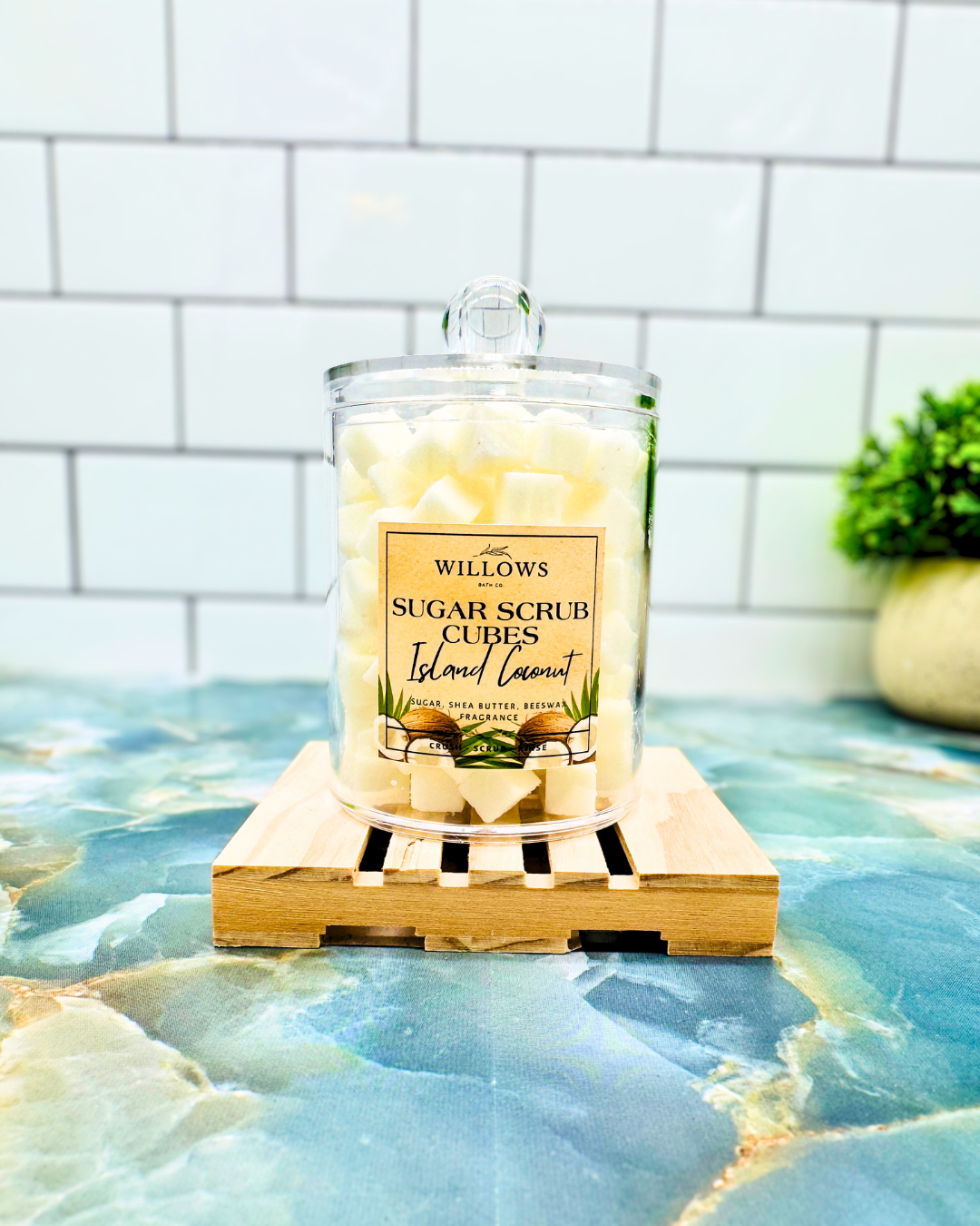 Willows Sugar Scrub Cubes Island Coconut