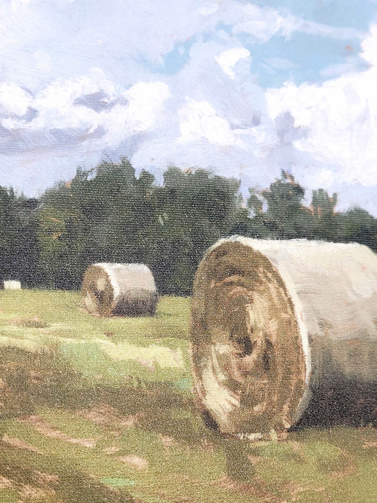 DARREN GYGI HAYFIELD WALL ART