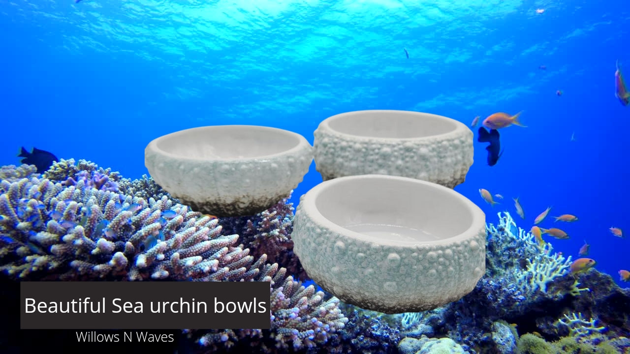 CERAMIC BLUE SEA URCHIN BOWLS