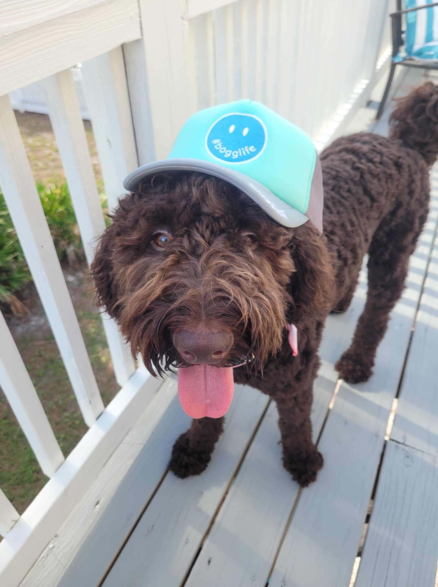 BOGG BAG SMILEY TRUCKER HAT