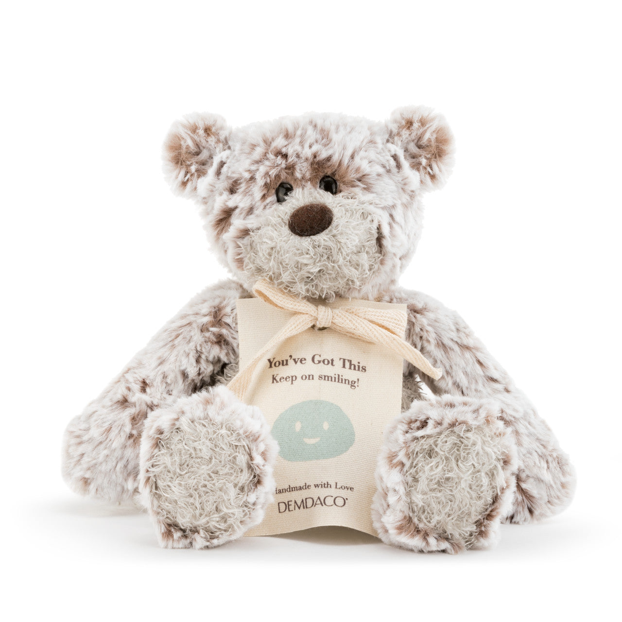 The Smiling "You Got This" Giving Bear Mini