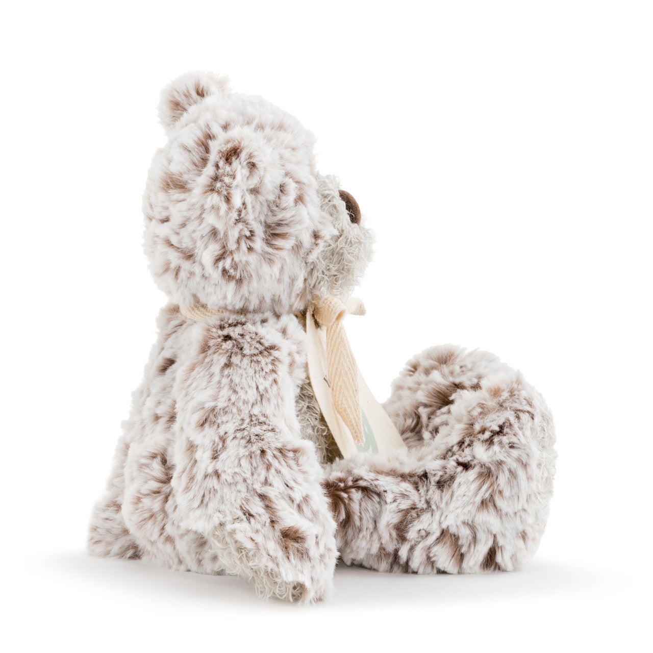 The Smiling "You Got This" Giving Bear Mini